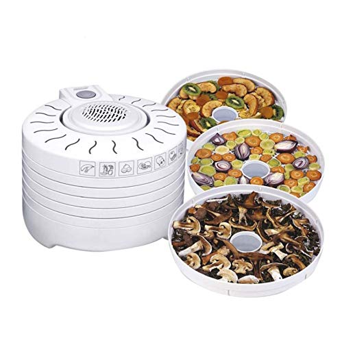 MPM MSG-01 Dehydrator für Pilze und Früchte