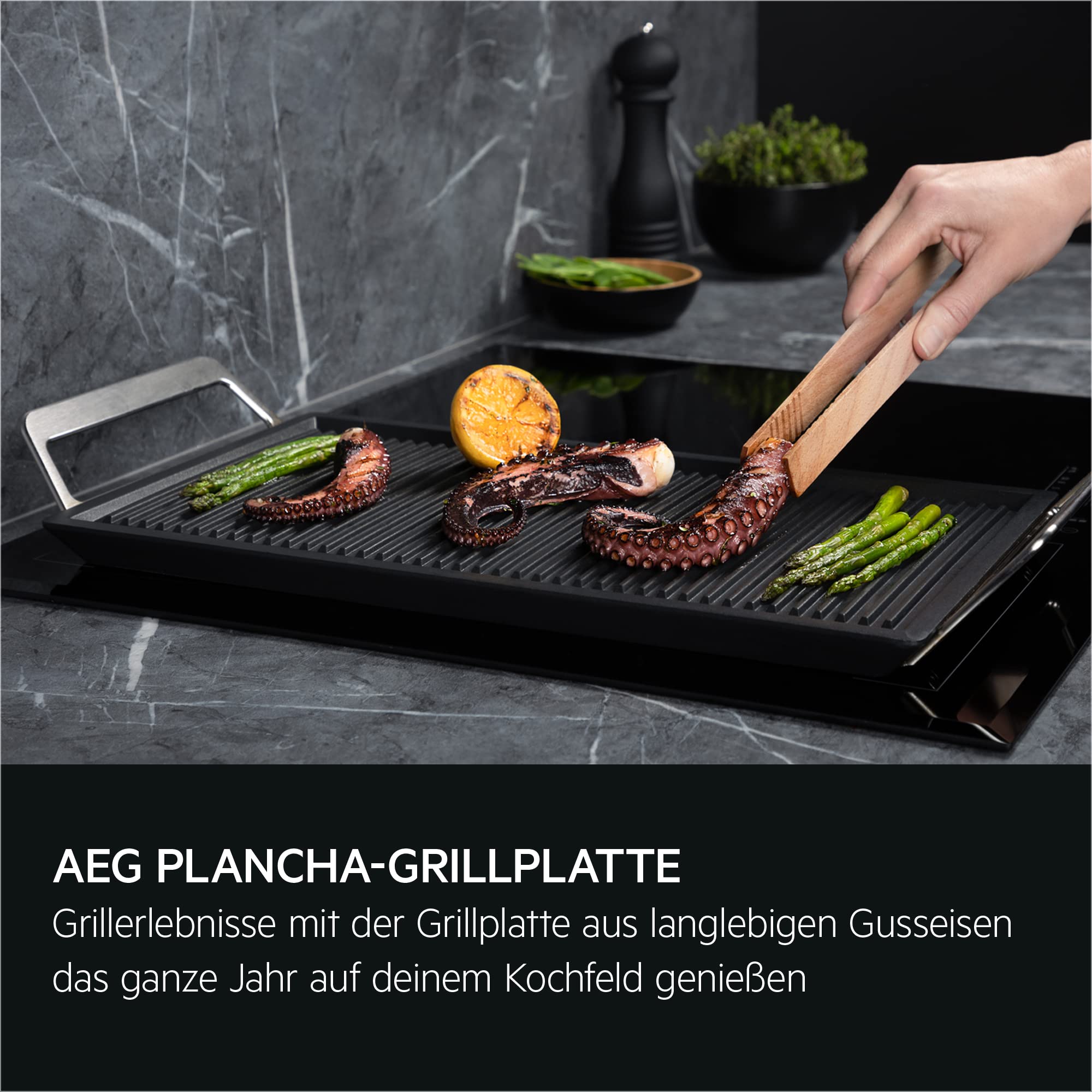 AEG A9HL33 Herdplattenteil & Zubehör Grill