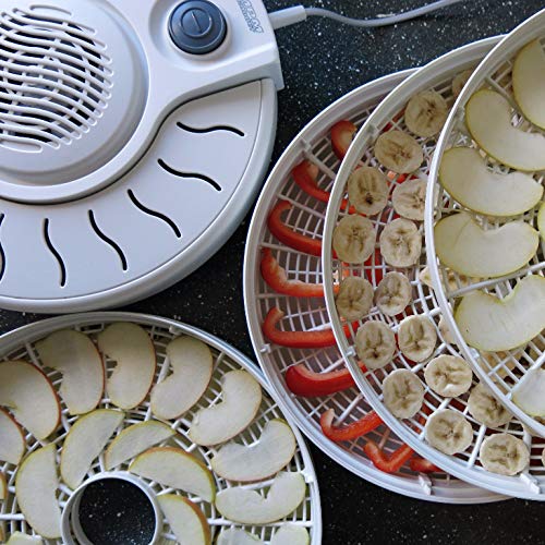 MPM MSG-01 Dehydrator für Pilze und Früchte