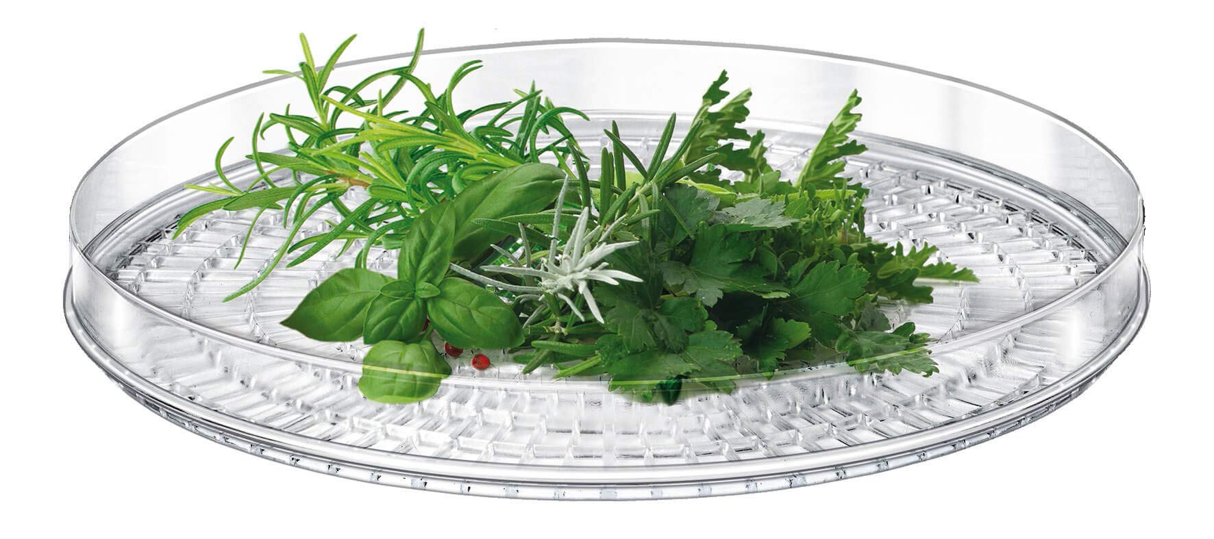 MPM MSG-11 Dehydrator für Pilze und Früchte