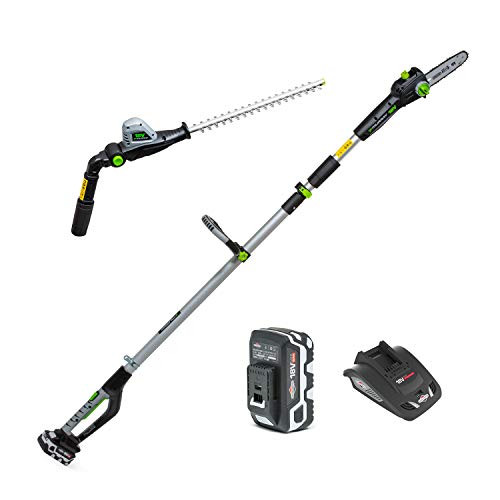 Murray IQ18PSHK 18 V Li-Ion 20 cm Polsäge & 41 cm hedge trimmer 2-in-1 kit telescopic shaft 5 years warranty 5.0 Ah battery and charger included