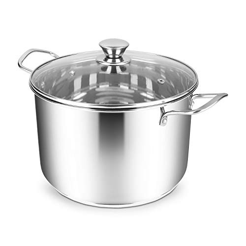 Penguin Home stainless steel stock pot with lid 24 x 16 cm 7 liters mirror finish