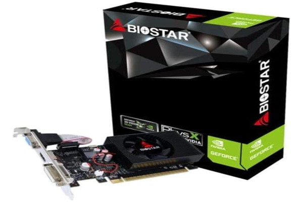 Biostar VN7313TH41 Grafikkarte NVIDIA GeForce GT 730 4 GB GDDR3