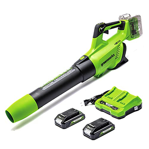 Greenworks Axial cordless leaf blower GD24X2BVK2X Li-Ion 2x24V 225km h airspeed powerful axial fan electronic speed control with 2x2Ah battery and dual slot charger