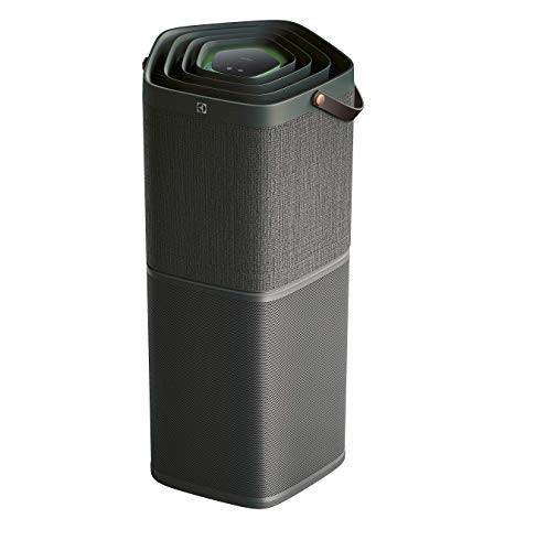 Electrolux PA91-604DG filtro de aire 92 m2 32 dB gris