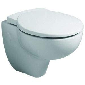 Geberit joly toilet-seat cover with removable stainless steel hinge white