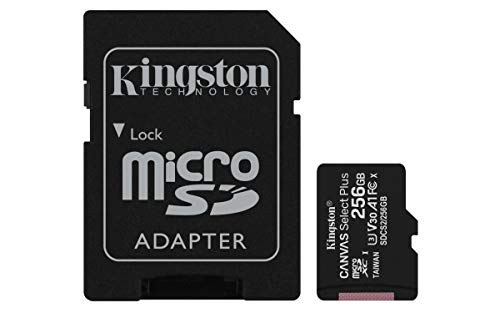 Kingston Canvas Sélectionnez une carte mémoire microSD plus 256Go Class 10 incl. Adaptateur SD SDCS2