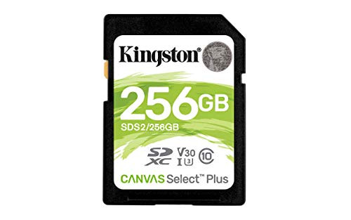 Kingston SD Canvas Select Plus - SDS2 256Go classe 10 UHS-I