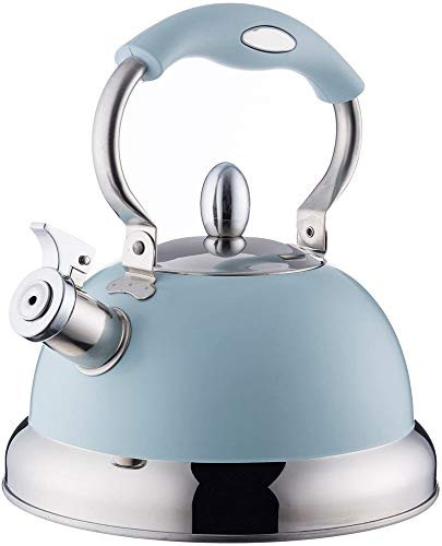 Typhoon Living Collection 2.5 liter stainless steel kettle pastel blue